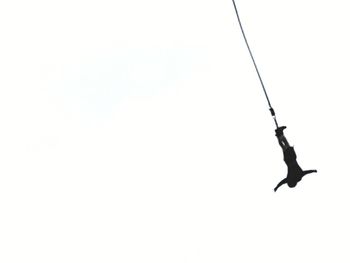 Low angle view of silhouette bird flying against clear sky