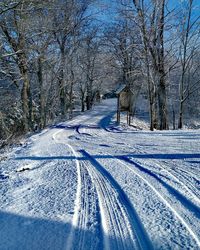 Snow covered road along bare trees