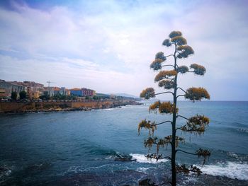 Scenic view of sea by buildings against sky