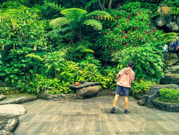 Rear view of man walking on footpath amidst plants