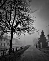 Road by trees against sky