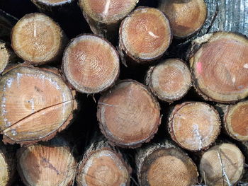 Full frame shot of logs