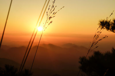 Silhouette landscape against orange sky