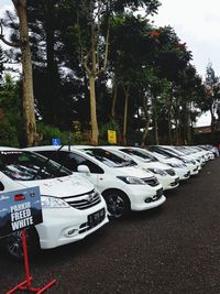 Cars parked on road in city