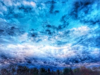 Low angle view of trees against blue sky