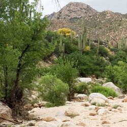 Scenic view of mountains