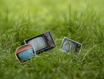 Close-up of wedding rings on field