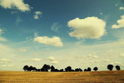 Scenic view of field against cloudy sky