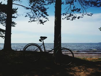 Bicycle by tree on beach against sky