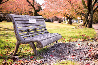 Bench in park