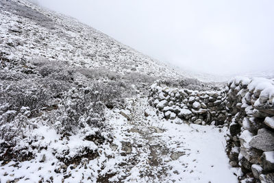 View of snow covered landscape