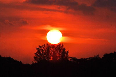 Low angle view of silhouette trees at sunset