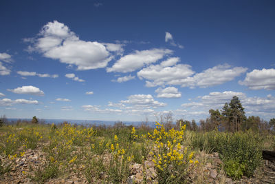 Countryside landscape against blue sky