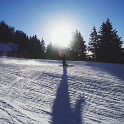 Shadow of person on snow covered tree