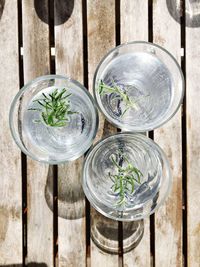 Directly above shot of plants in glass on table