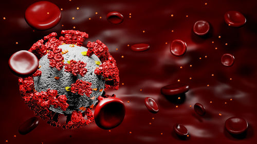 High angle view of dessert on table