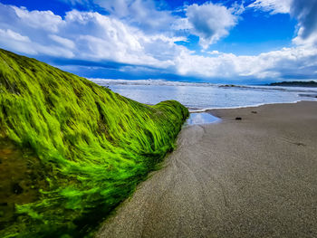 Panoramic view of sea against sky