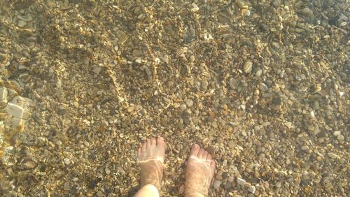 Low section of person standing on beach