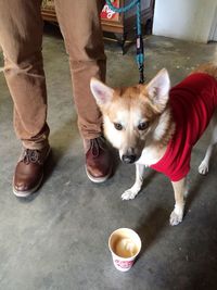 Low section of people with dog standing on floor