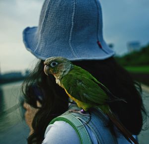 Rear view of woman with bird perching on hand