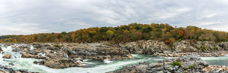 Scenic view of river amidst trees against sky