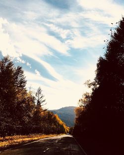 Road amidst trees against sky