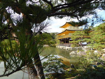 Reflection of trees and building in lake