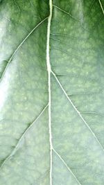 Full frame shot of white background