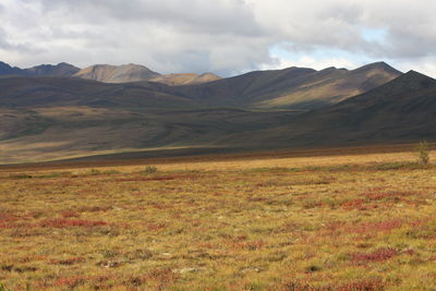 Scenic view of landscape and mountains against sky