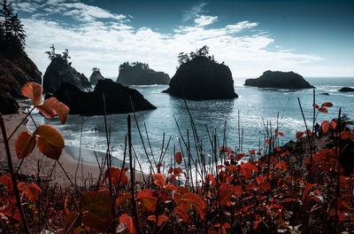 Scenic view of sea against sky