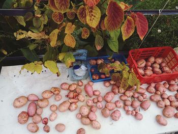 High angle view of fruits for sale in market