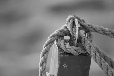 Close-up of rope tied on metallic pole at beach