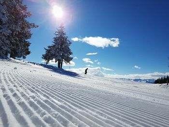 Trees on snow covered landscape against sky