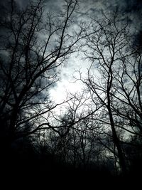 Low angle view of bare trees against sky