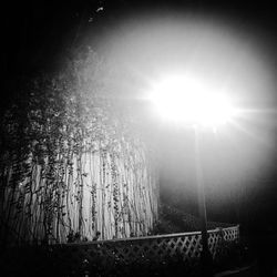 Scenic view of trees against sky