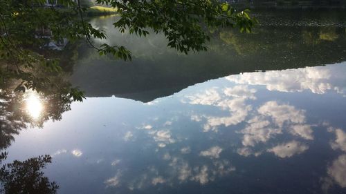 Reflection of trees in water