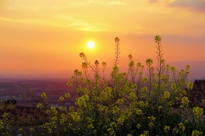 Scenic view of landscape against sky at sunset