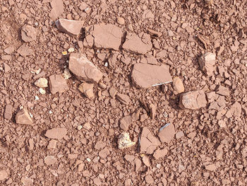 High angle view of broken glass on field