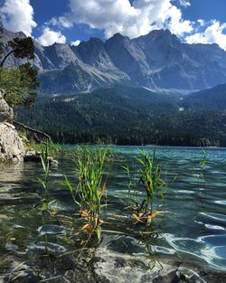 Scenic view of lake and mountains