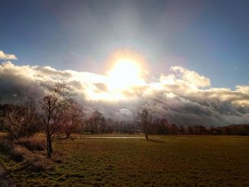 Scenic view of field against bright sun