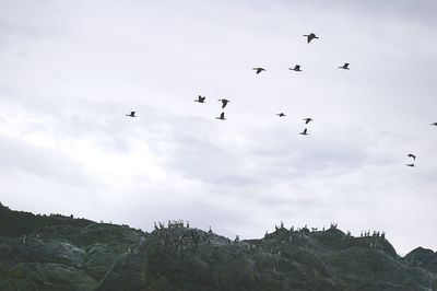 Low angle view of birds flying over rocky mountain against sky