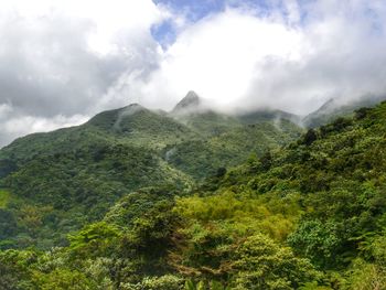 Scenic view of tree mountains against sky