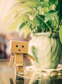 Close-up of danboard by vase