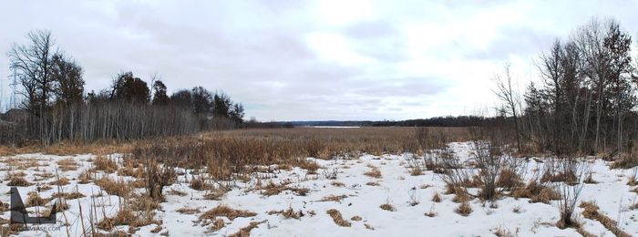 Scenic view of snow covered landscape