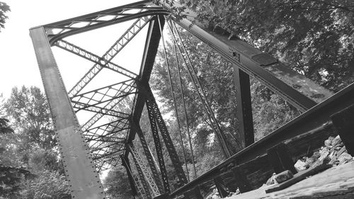 Low angle view of railway bridge in forest