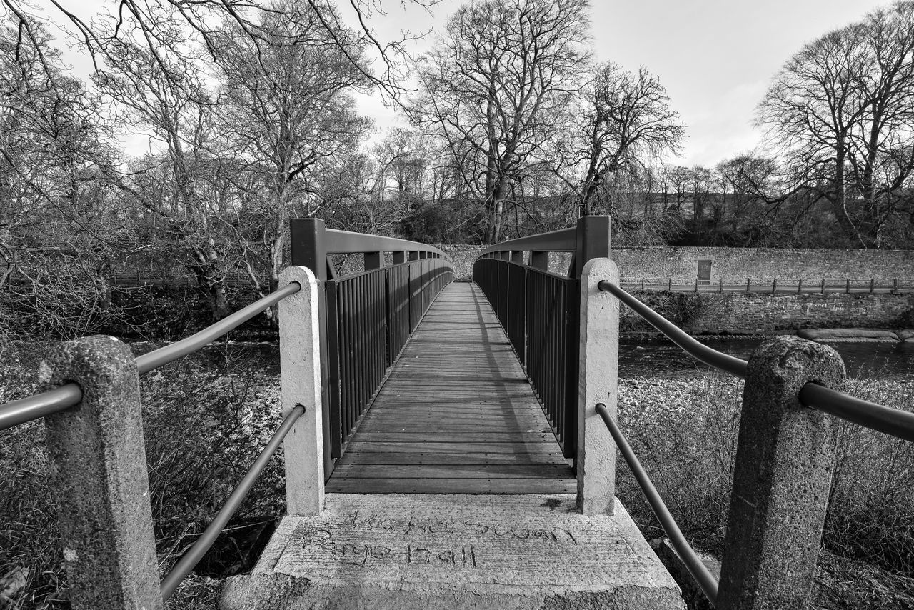 FOOTBRIDGE AMIDST TREES AND PLANTS