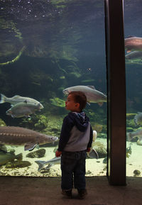 Boy standing in aquarium