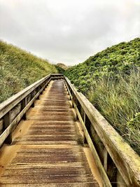 Boardwalk amidst plants and trees against sky