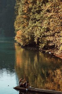 People sitting by lake