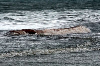 Waves splashing on rocks